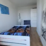 Star 66 Przy Aqua Parku 38m2